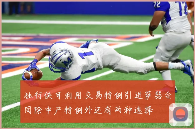 独行侠可利用交易特例引进萨瑟合同除中产特例外还有两种选择