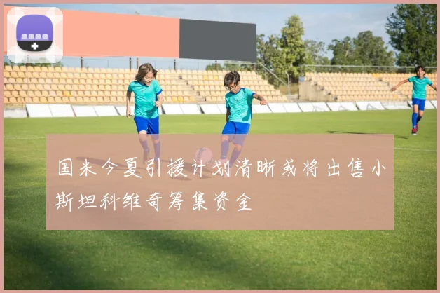 国米今夏引援计划清晰或将出售小斯坦科维奇筹集资金